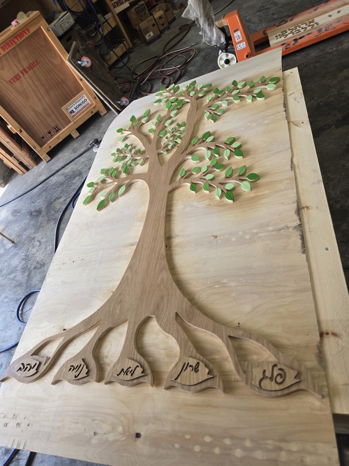עץ הקיר מעץ בשלבי ייצור בנגרייה – חיתוך CNC של הגזע, השורשים עם השמות והעלים הירוקים המודבקים בשכבות
